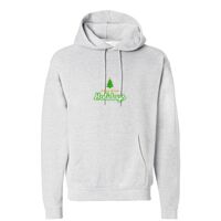 Unisex EcoSmart® Hooded Sweatshirt Thumbnail
