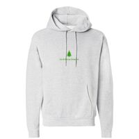 Unisex EcoSmart® Hooded Sweatshirt Thumbnail